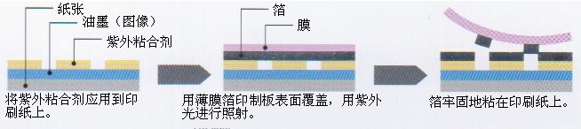 The Working Principle of Cold Perming and Film Transfer